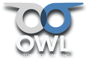 Owl AI image